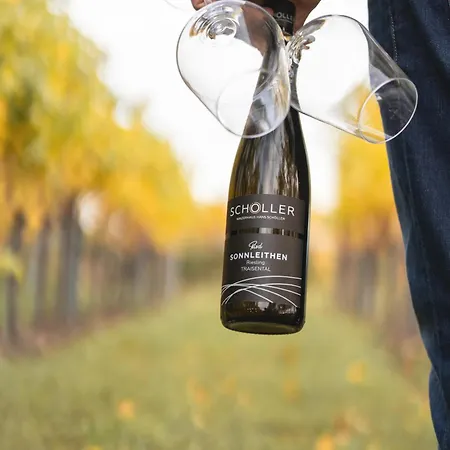 Apartamento Winzerhaus Hans Schoeller