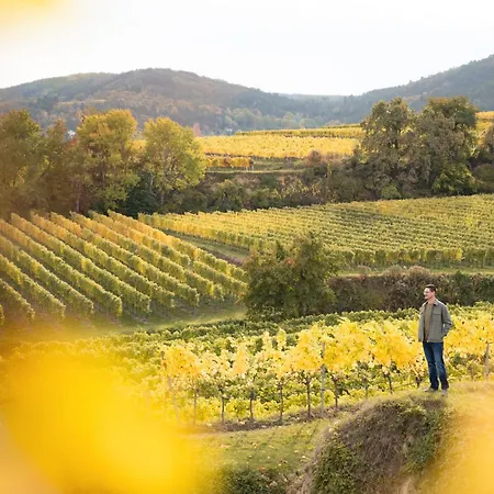 Winzerhaus Hans Schoeller