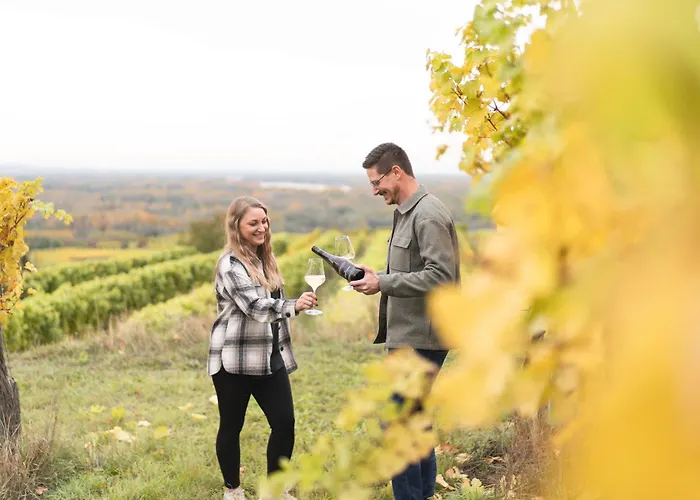 Winzerhaus Hans Schoeller *