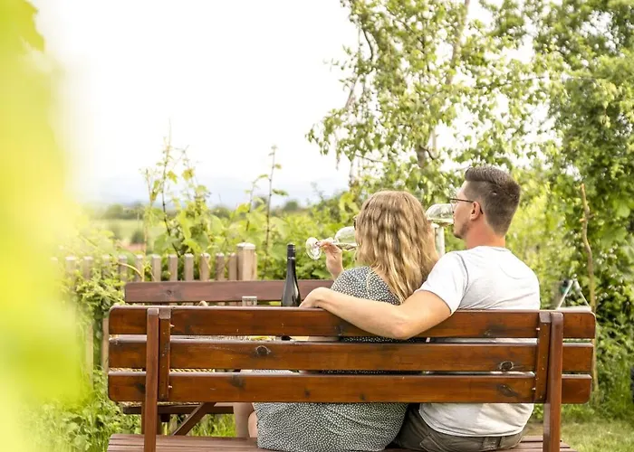 Winzerhaus Hans Schoeller Wagram ob der Traisen
