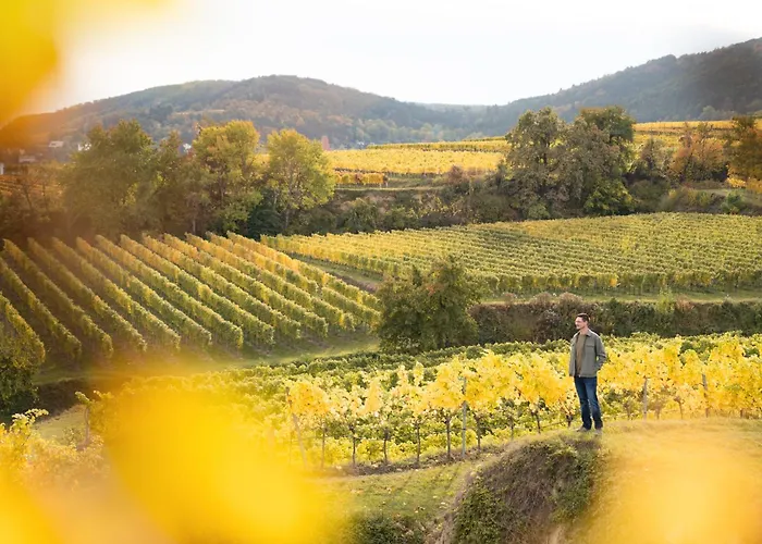 Winzerhaus Hans Schoeller